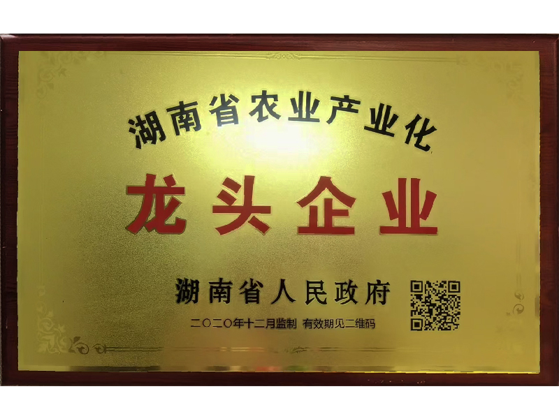 岳陽市漁之源食品有限公司,岳港漁都,洞庭魚港,散稱系列,田螺系列,臭豆腐加工，香豆腐加工，烤脖加工，魚仔,鴨排加工、雞丁加工代加工